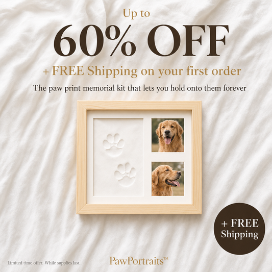 PawPortrait Clay Kit